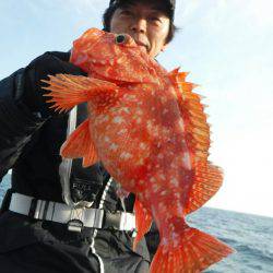 ブルースフィッシングサービス 釣果