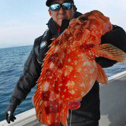 ブルースフィッシングサービス 釣果