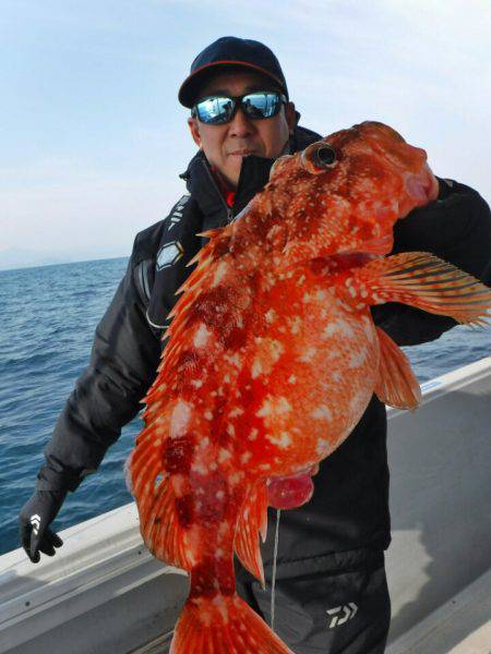 ブルースフィッシングサービス 釣果