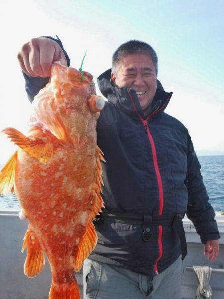 ブルースフィッシングサービス 釣果