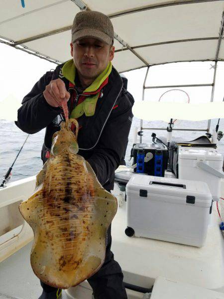 ソルトウォーターガイドフレンズ 釣果