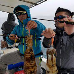 ソルトウォーターガイドフレンズ 釣果