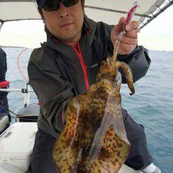 ソルトウォーターガイドフレンズ 釣果