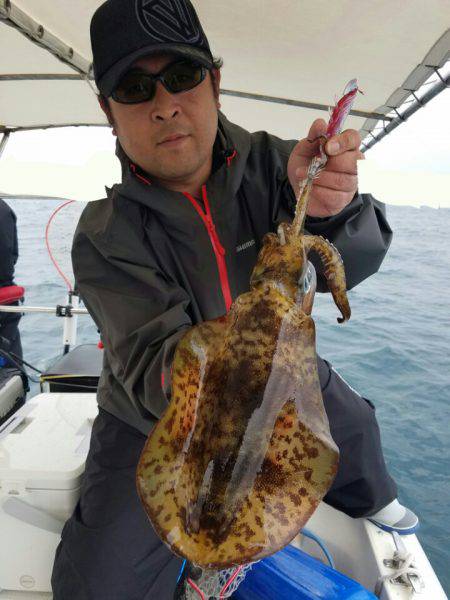 ソルトウォーターガイドフレンズ 釣果