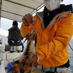 ソルトウォーターガイドフレンズ 釣果