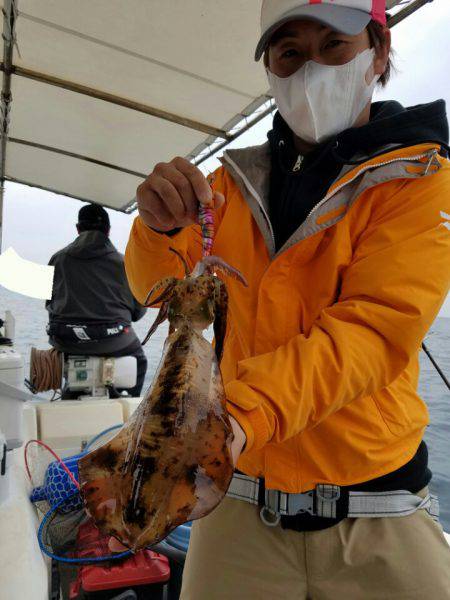 ソルトウォーターガイドフレンズ 釣果