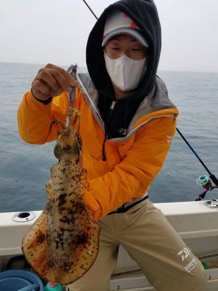 ソルトウォーターガイドフレンズ 釣果