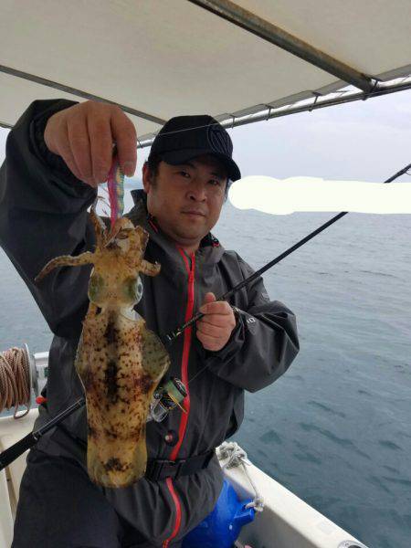 ソルトウォーターガイドフレンズ 釣果