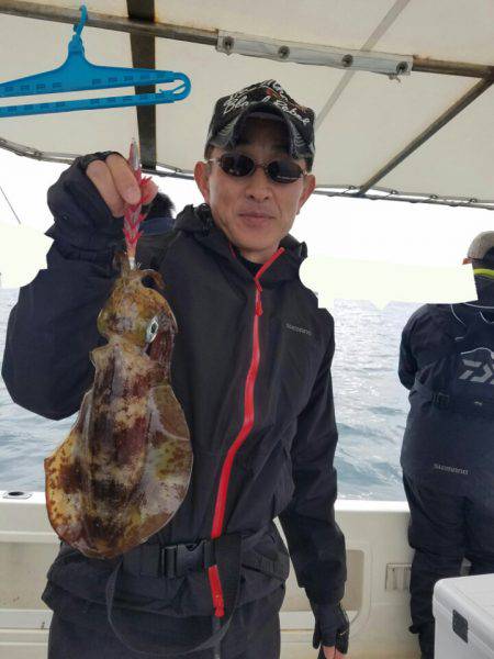 ソルトウォーターガイドフレンズ 釣果