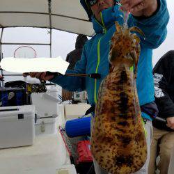 ソルトウォーターガイドフレンズ 釣果