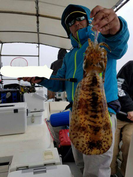 ソルトウォーターガイドフレンズ 釣果