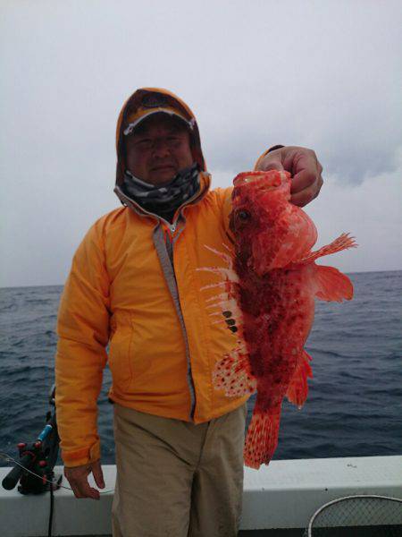 エンペラー 釣果