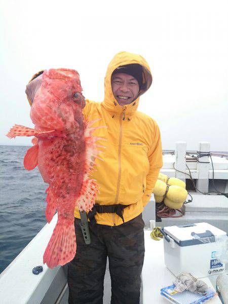 エンペラー 釣果