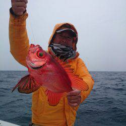 エンペラー 釣果