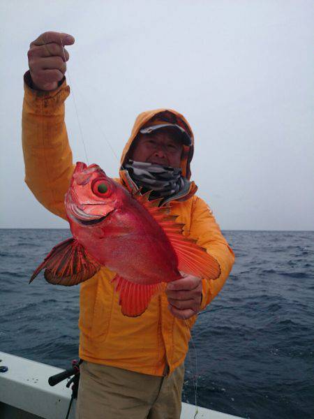 エンペラー 釣果