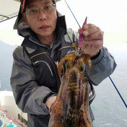 ソルトウォーターガイドフレンズ 釣果