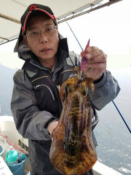 ソルトウォーターガイドフレンズ 釣果