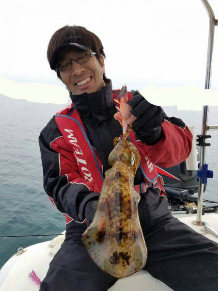 ソルトウォーターガイドフレンズ 釣果