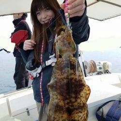 ソルトウォーターガイドフレンズ 釣果