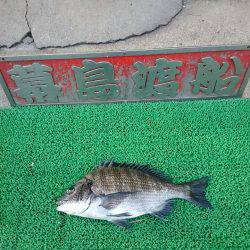 幕島丸 釣果