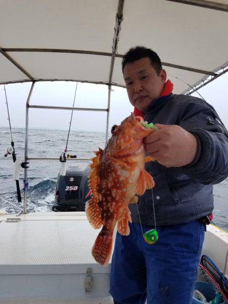 ソルトウォーターガイドフレンズ 釣果