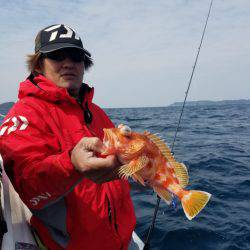 ソルトウォーターガイドフレンズ 釣果