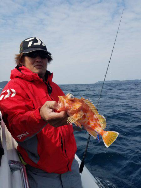 ソルトウォーターガイドフレンズ 釣果