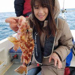 ソルトウォーターガイドフレンズ 釣果