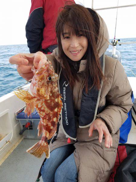 ソルトウォーターガイドフレンズ 釣果