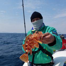 ソルトウォーターガイドフレンズ 釣果