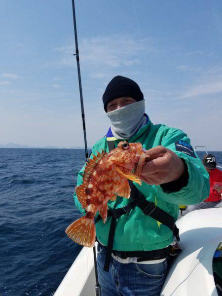 ソルトウォーターガイドフレンズ 釣果