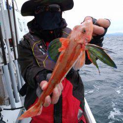 ありもと丸 釣果