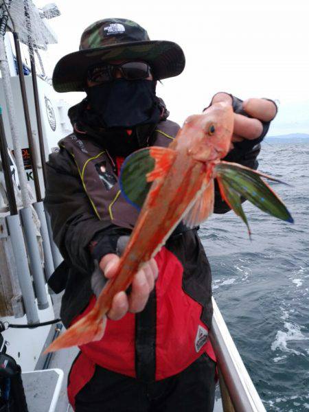 ありもと丸 釣果
