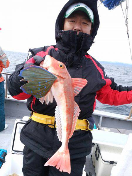 ありもと丸 釣果