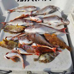 海龍丸（島根） 釣果