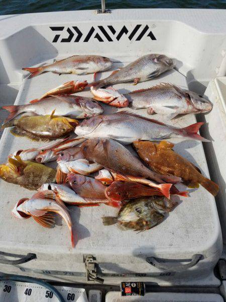 海龍丸（島根） 釣果