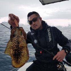 ソルトウォーターガイドフレンズ 釣果