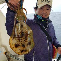 ソルトウォーターガイドフレンズ 釣果