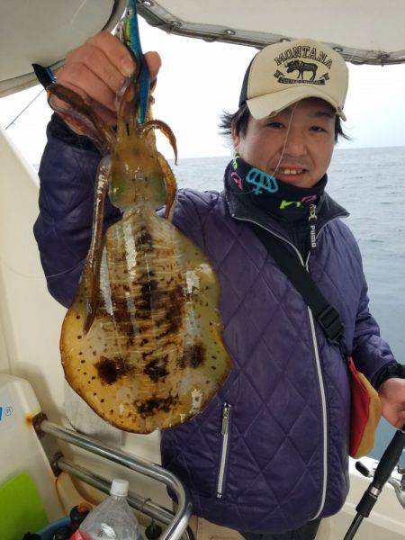 ソルトウォーターガイドフレンズ 釣果