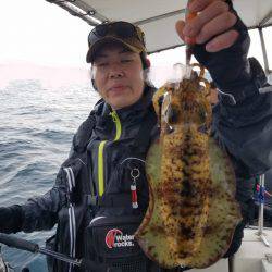 ソルトウォーターガイドフレンズ 釣果