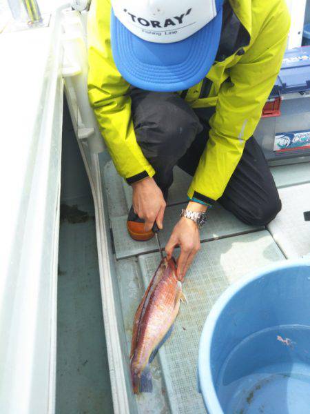 アマテラス 釣果