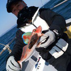 ありもと丸 釣果