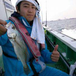 金沢八景鴨下丸 釣果