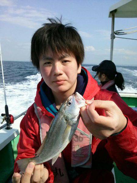 金沢八景鴨下丸 釣果