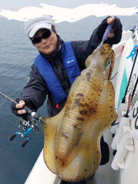 ソルトウォーターガイドフレンズ 釣果