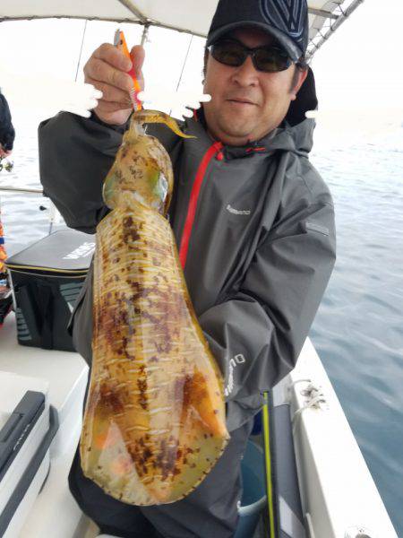 ソルトウォーターガイドフレンズ 釣果