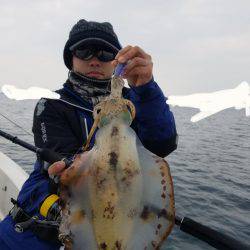 ソルトウォーターガイドフレンズ 釣果