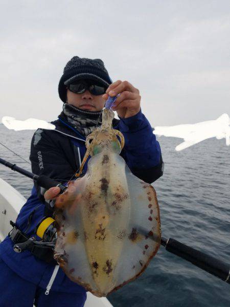 ソルトウォーターガイドフレンズ 釣果