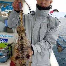 ソルトウォーターガイドフレンズ 釣果