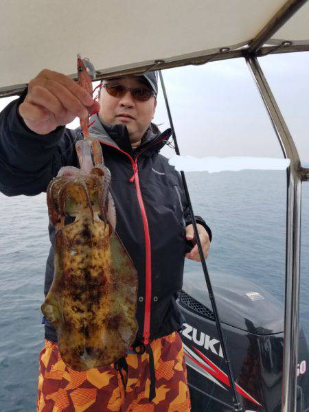 ソルトウォーターガイドフレンズ 釣果